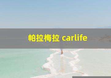 帕拉梅拉 carlife